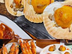 -黑松白鹿(金融街店)