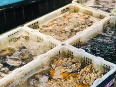 -鹏城人家海鲜酒家·23年老字号(较场尾店)