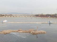 -永定河休闲森林公园