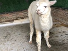 -田园寨农园观光园