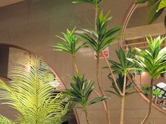 -云海肴·汽锅鸡·云南菜(领展购物广场·中关村店)