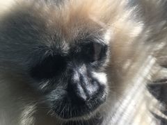 -昆明动物园