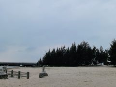 -东郊椰林