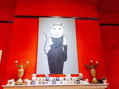 -猫色咖啡·猫咖