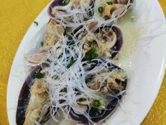 -鸿达渔港