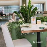 龙华高品质早茶，快来尝鲜！！