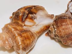 海螺-将相和·海鲜蒸饺大连菜