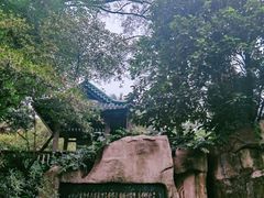 -广州兰圃