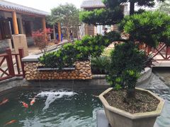 -顺德了能馆(虎门店)