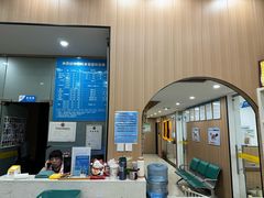 -米苏动物医院·犬猫专科·骨科外科内窥镜