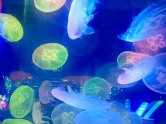 -太平洋海底世界