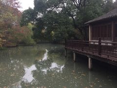 -乌村