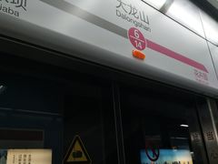 -大龙山(地铁站)