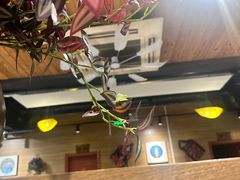 -云尊府云南菜·蒸汽石锅鱼(学清路店)