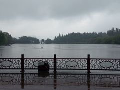 -西湖外事游船(花港观鱼码头)