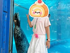 -海合安成都极地海洋公园