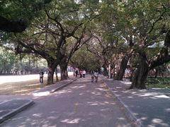 -中山大学学者灵芝(园南路店)