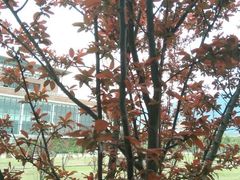 android_upload_pic-福建师范大学(仓山校区)