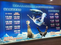 -成都浩海立方海洋公园