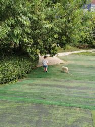 -萌宠亲子动物乐园(槐房万达店)