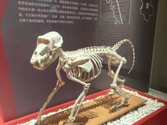 -国家自然博物馆