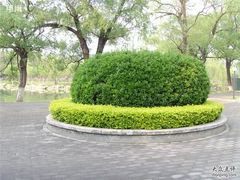 -北京小汤山医院体检中心