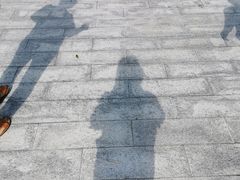 -武清南湖绿博园