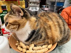 -新荟城(望京店)