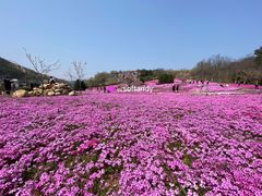 -棒棰岛宾馆景区