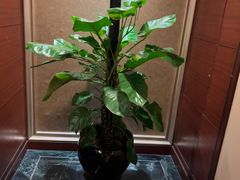 -成都天府丽都喜来登饭店