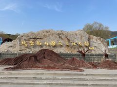 -北京西山国家森林公园