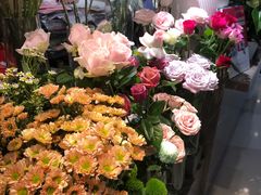 -谷莠子花艺·气球派对·绿植造景·花艺沙龙(金光华广场店)