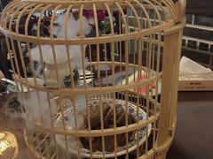 -杨记隆府(白象街店)