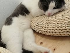 -颐玖 咖啡|甜品
