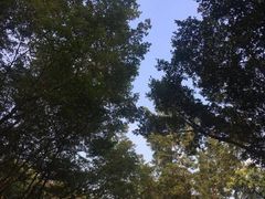 -滴水岩森林公园