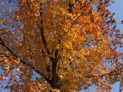 -沈阳辉山风景区