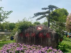 -鹅湖玫瑰文化园