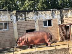 -合肥野生动物园