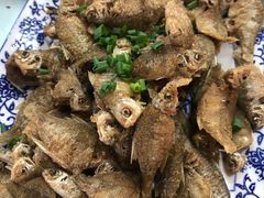 -洞天食府(北大街店)