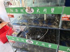 -阳澄湖大闸蟹·琼灵阁牌品牌连锁(吴中总店)