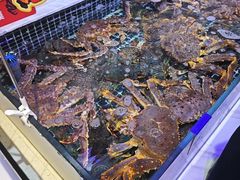 -开海·红岛海鲜虾水饺(石老人店)