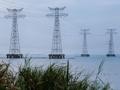 -宝安西湾红树林湿地公园