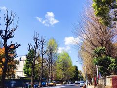 -东京国立博物馆