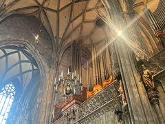 -斯蒂芬主教座堂(Stephansdom)