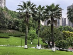 -龙头寺公园
