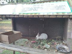 -石岛赤山风景区