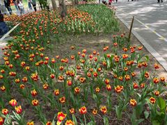 -长春公园(普阳街道)