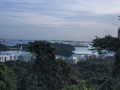 -花柏山公园