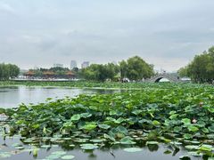 -长春市南湖公园