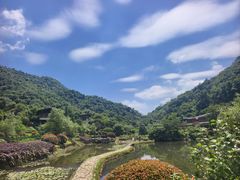 -桃花岭景区